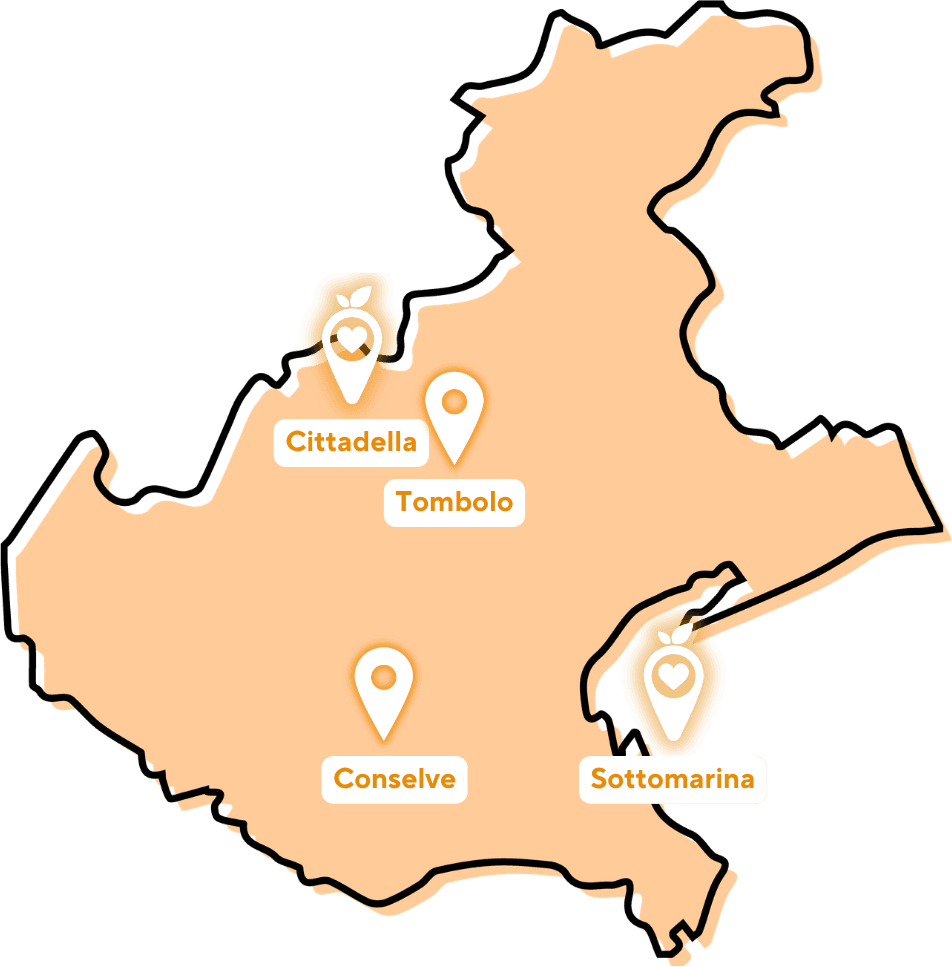 Mappa del Veneto con i quattro punti vendita Ale Fresh Market: Cittadella, Tombolo, Conselve e Sottomarina