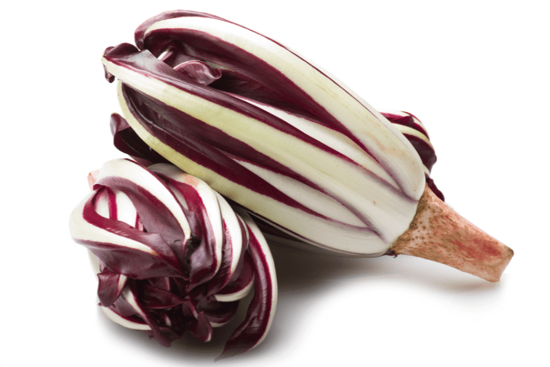 Radicchio tardivo & varietà venete