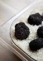 Tartufo nero pregiato (Tuber melanosporum)