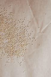 Quinoa