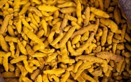Curcuma