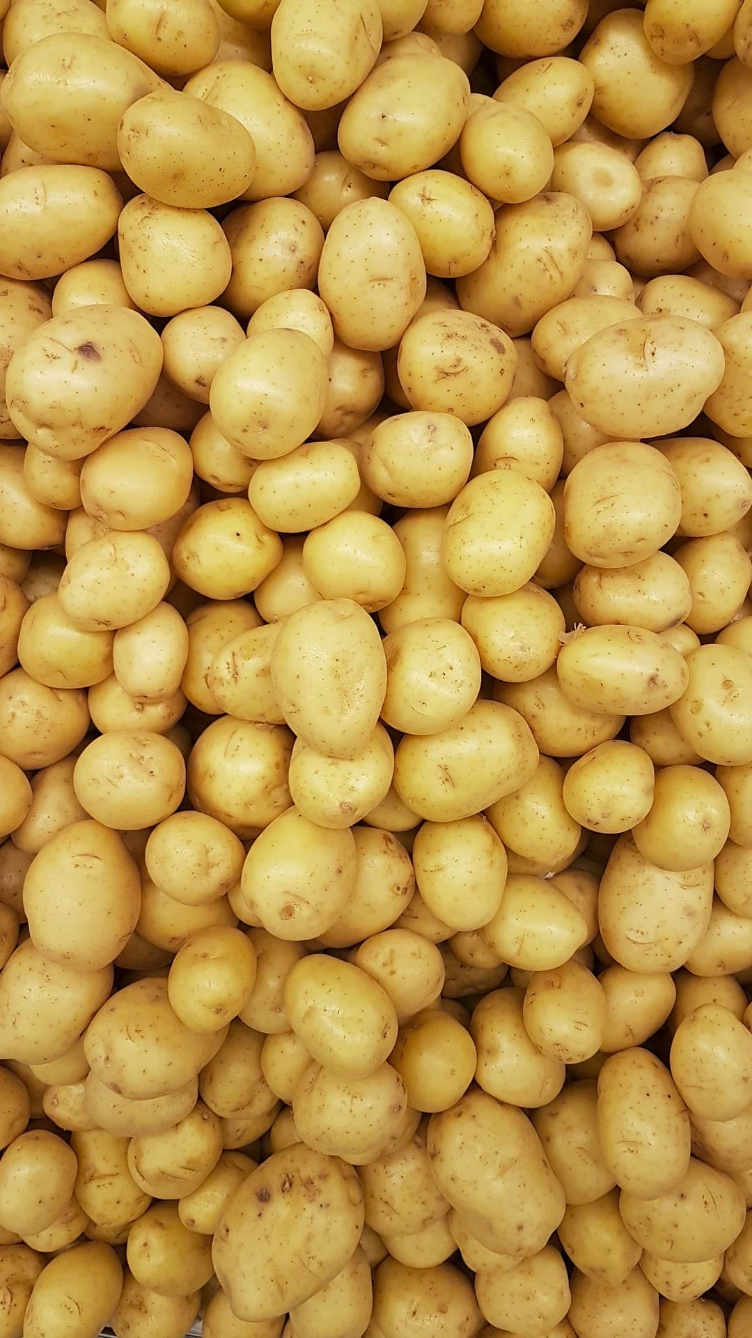Patate