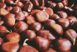 Castagne