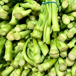Broccolo fiolaro (Creazzo, VI)