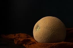 Meloni (cantalupo/retato)