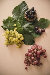 Uva da tavola (nera e bianca)