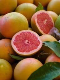 Pompelmi (gialli e rosa)