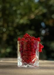 Ribes (rosso/nero)