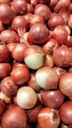 Cipolle (bianche, dorate, rosse)