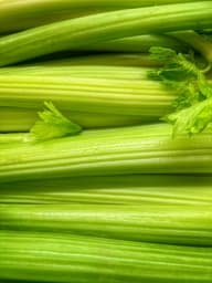 Sedano (bianco/verde)